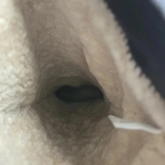 Cozy Emu Knee High Shearling Boots - Picture 11 of 15